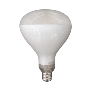 82667 Flos PARENTESI LED light bulb E27 13W