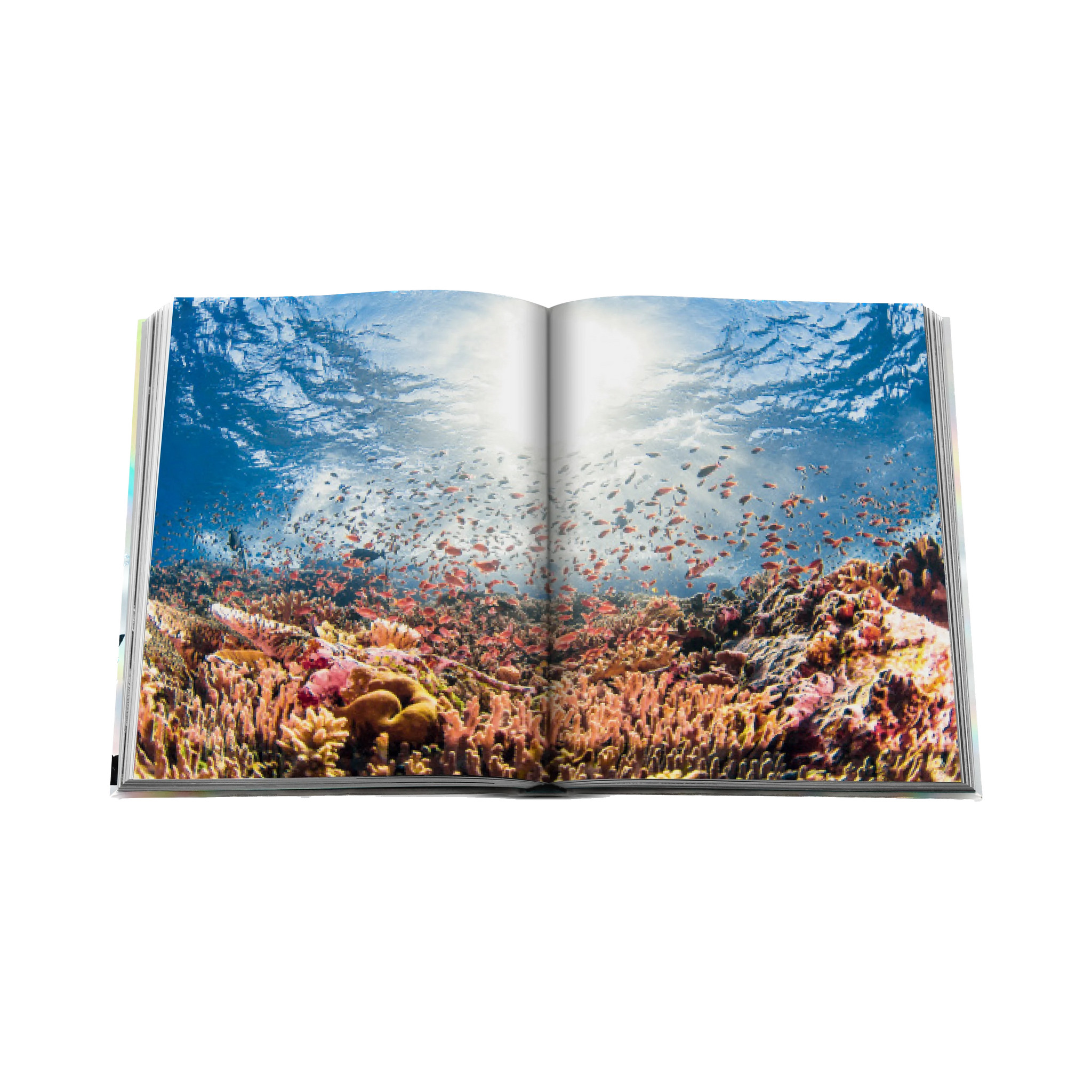 83495 Assouline The Coral Triangle Book