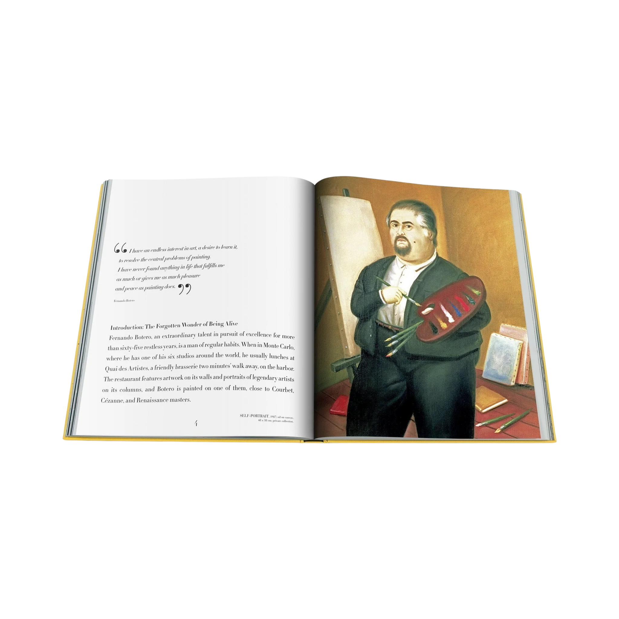 90475 Assouline Fernando Botero Livro