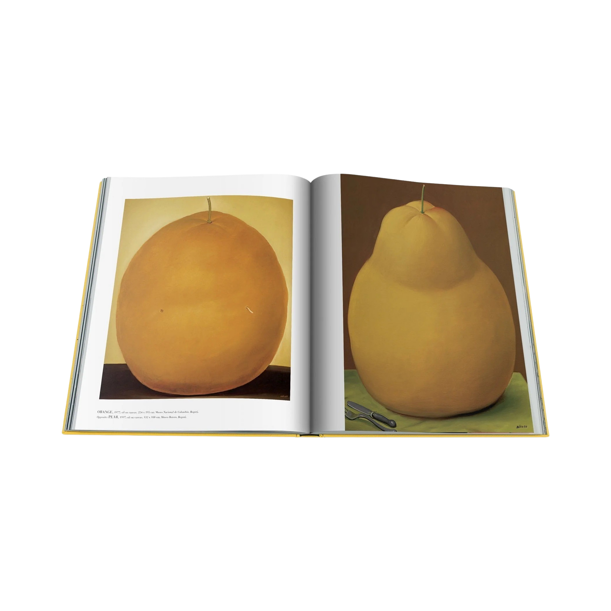 90475 Assouline Fernando Botero Livro