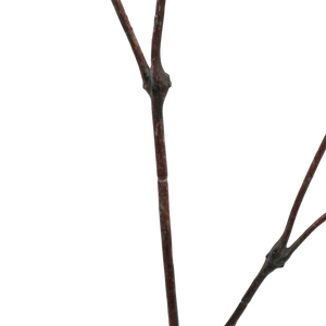 91531 LEAF ARTIFICIAL BRANCH