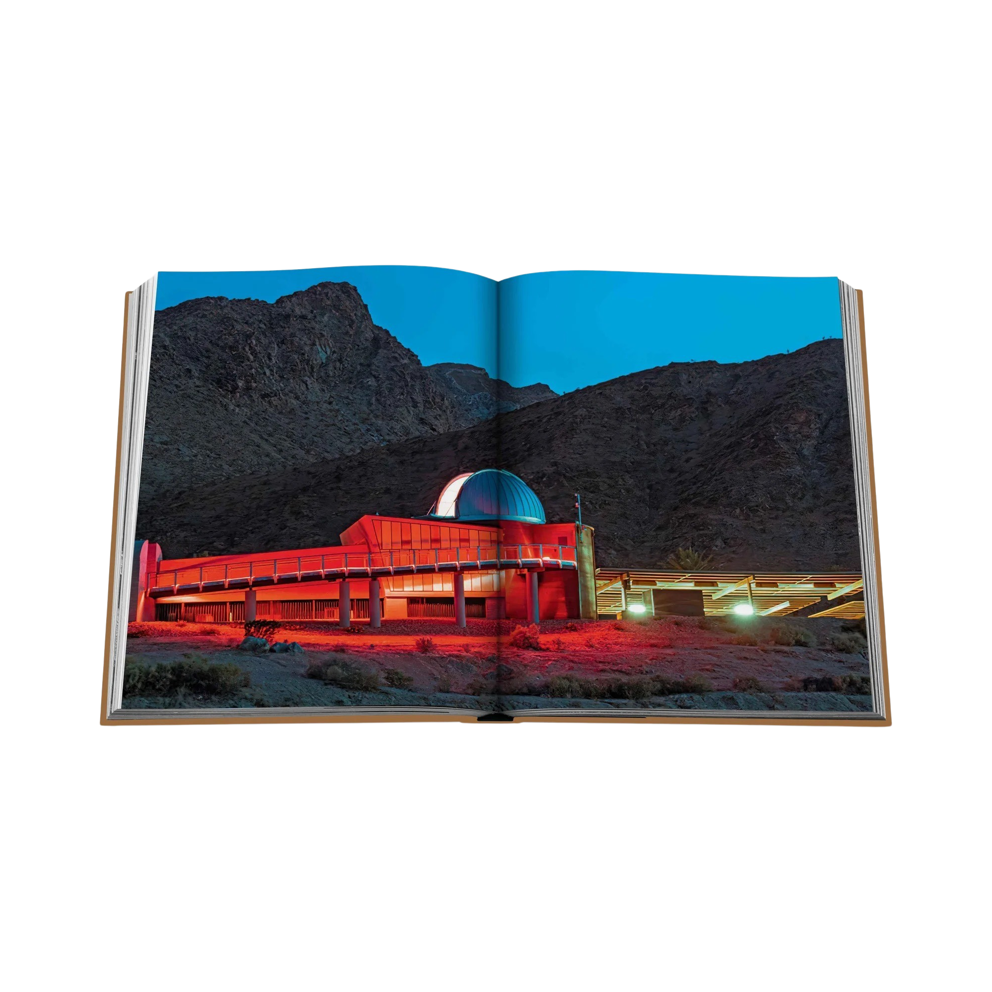 92289 ASSOULINE PALM SPRINGS LIVRO