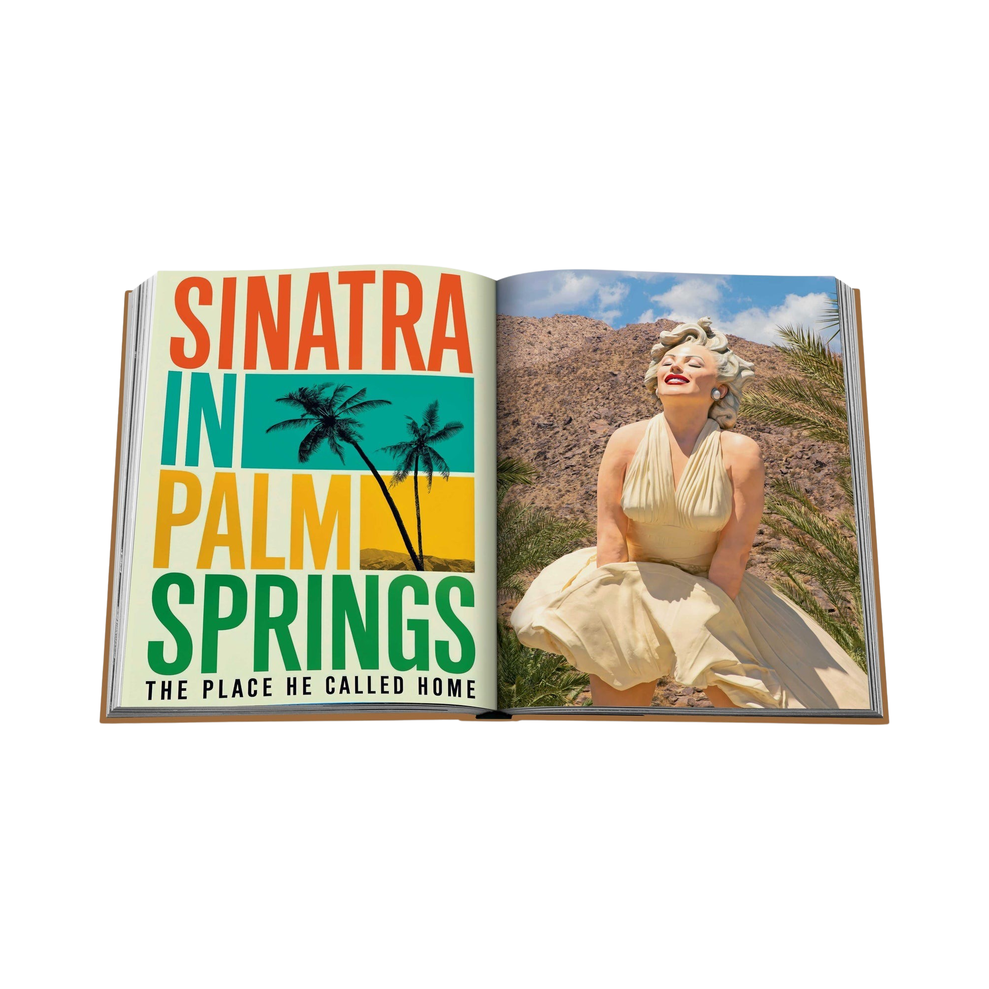 92289 ASSOULINE PALM SPRINGS LIVRO