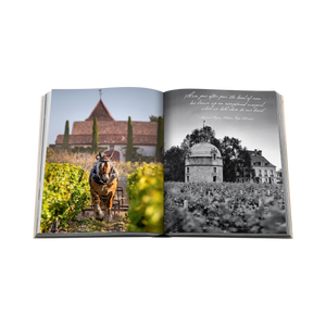 92292 ASSOULINE WINE & TRAVEL FRANCE COFFEE TABLE BOOK