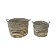 BINGA BASKET