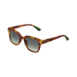 95572 OKKIA GIOVANNI SUNGLASSES
