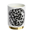 95991 FORNASETTI HIGH FIDELITY VELA 235GR