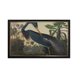 96040 ARCHIVIST LOUISIANA HERON MATCHES