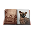 96047 ASSOULINE CHIC CATS COFFEE TABLE BOOK