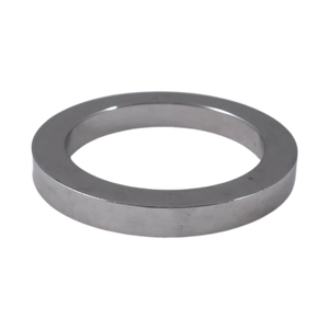 10554 RING Napkin ring