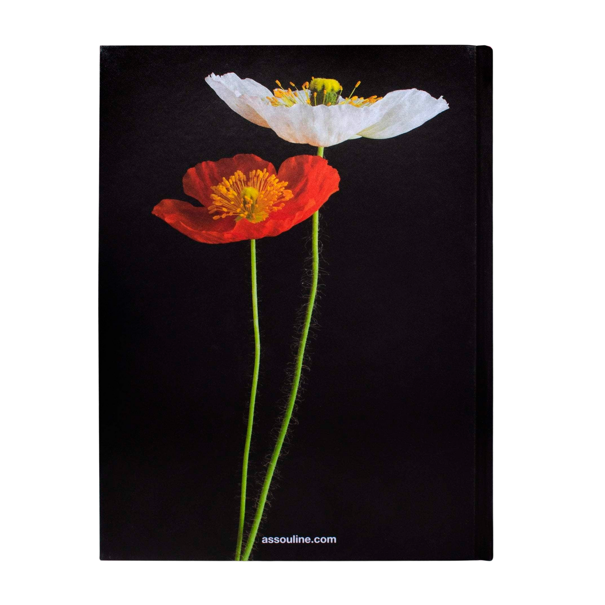 74494 Assouline Flowers Art & Bouquets Livro