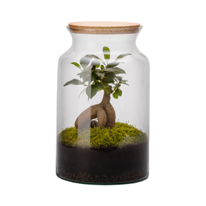 86788 NATURALYS JUNGLE TERRARIUM