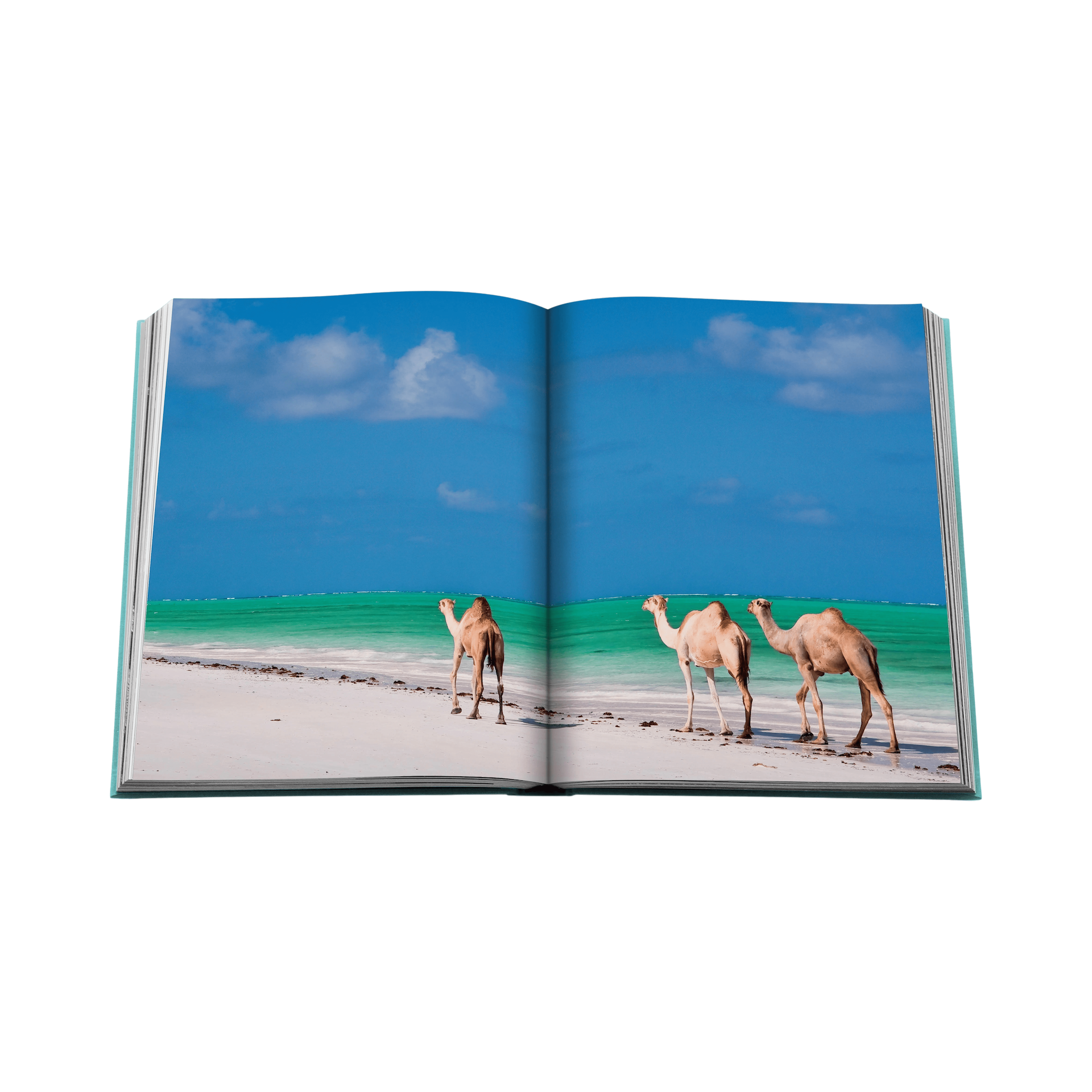 87996 ASSOULINE RED SEA: THE SAUDI COAST LIVRO